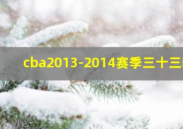 cba2013-2014赛季三十三轮