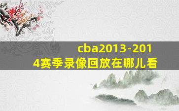 cba2013-2014赛季录像回放在哪儿看