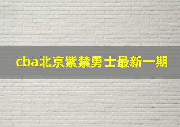 cba北京紫禁勇士最新一期