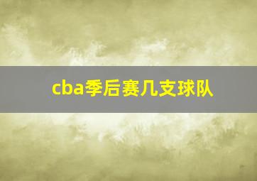 cba季后赛几支球队