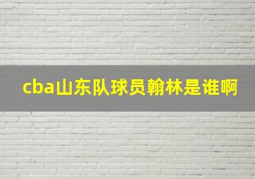 cba山东队球员翰林是谁啊