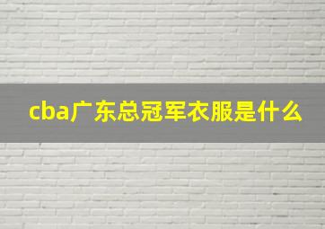 cba广东总冠军衣服是什么