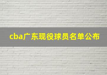 cba广东现役球员名单公布