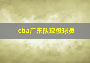 cba广东队现役球员