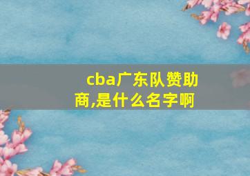 cba广东队赞助商,是什么名字啊