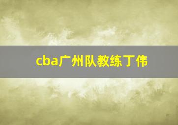 cba广州队教练丁伟