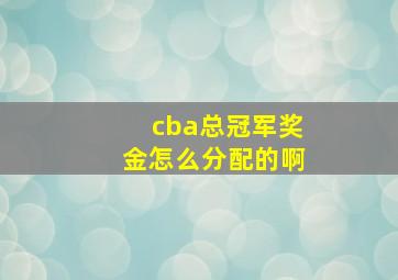 cba总冠军奖金怎么分配的啊