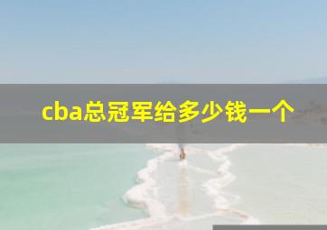 cba总冠军给多少钱一个