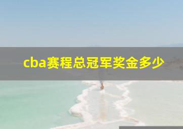 cba赛程总冠军奖金多少