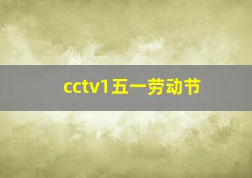 cctv1五一劳动节