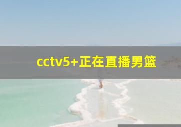 cctv5+正在直播男篮