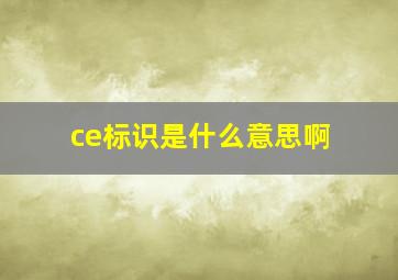 ce标识是什么意思啊