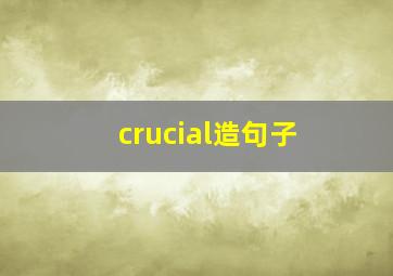 crucial造句子