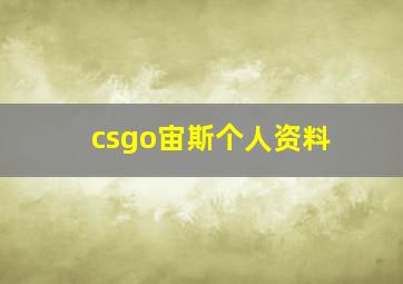 csgo宙斯个人资料