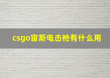 csgo宙斯电击枪有什么用