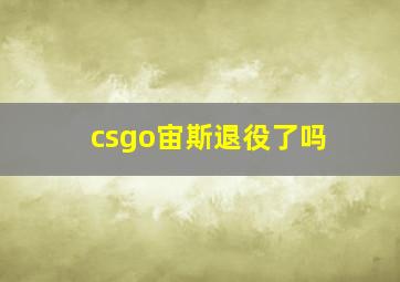 csgo宙斯退役了吗