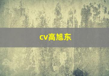 cv高旭东