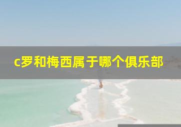 c罗和梅西属于哪个俱乐部