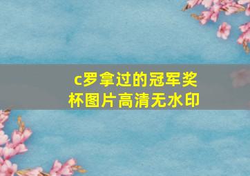 c罗拿过的冠军奖杯图片高清无水印