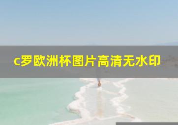 c罗欧洲杯图片高清无水印