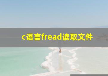 c语言fread读取文件