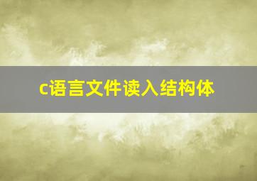 c语言文件读入结构体