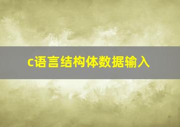 c语言结构体数据输入