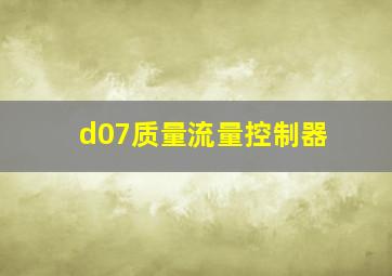 d07质量流量控制器