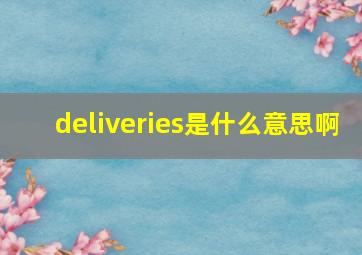 deliveries是什么意思啊