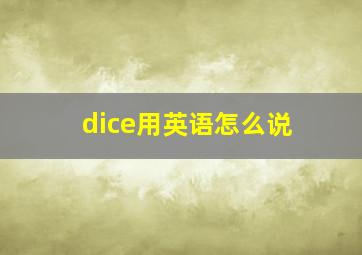 dice用英语怎么说