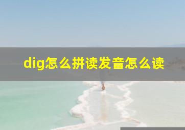 dig怎么拼读发音怎么读