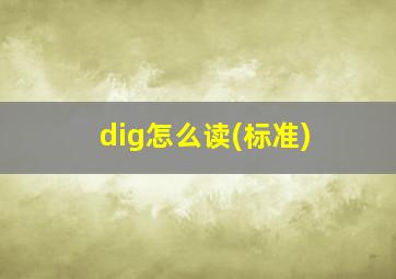 dig怎么读(标准)