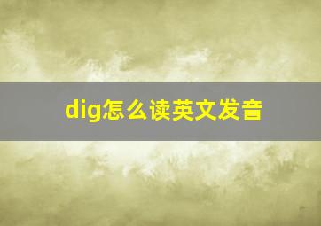 dig怎么读英文发音