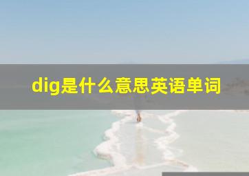 dig是什么意思英语单词