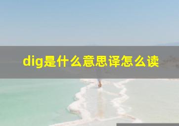 dig是什么意思译怎么读