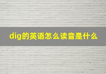 dig的英语怎么读音是什么