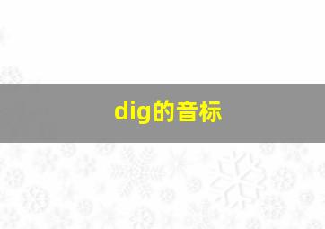 dig的音标