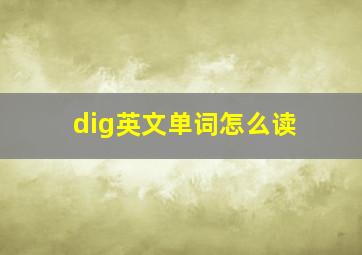 dig英文单词怎么读