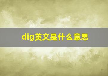 dig英文是什么意思