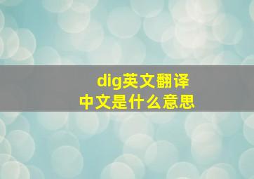 dig英文翻译中文是什么意思