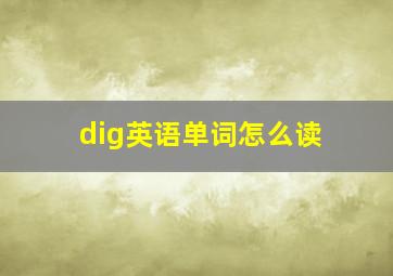 dig英语单词怎么读