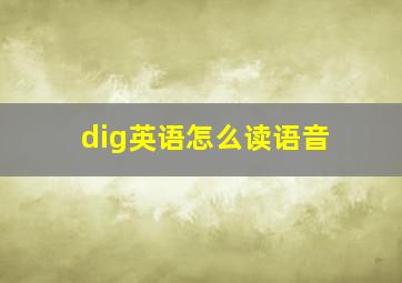 dig英语怎么读语音