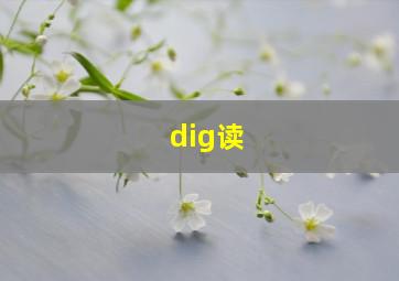 dig读