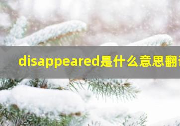 disappeared是什么意思翻译