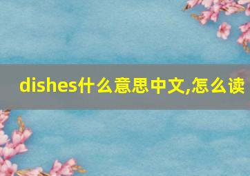 dishes什么意思中文,怎么读