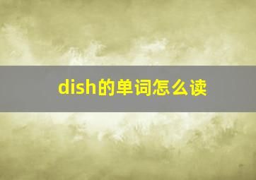 dish的单词怎么读