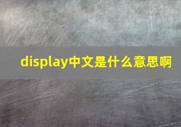 display中文是什么意思啊