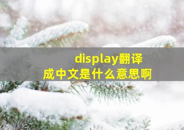 display翻译成中文是什么意思啊