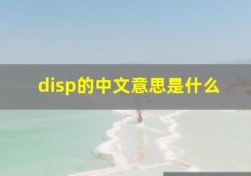 disp的中文意思是什么