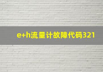 e+h流量计故障代码321